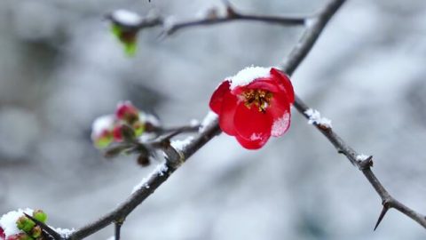 Kusukela Ekuhlukunyezweni Kuphuma Amakha Othando